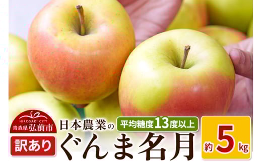 りんご 【先行受付】平均糖度13度以上！ ぐんま名月 約5kg 訳あり 2148968 - 青森県弘前市