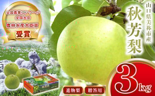 美祢市産 秋芳梨 ( 進物梨 ) 3kg 先行予約 [2025年8月下旬より順次発送予定]| 二十世紀 なし 梨 フルーツ 特産品 美祢市 山口県 美祢 秋芳町 秋芳 秋芳梨 進物 進物梨 贈答 果物 くだもの 果実 カルスト台地 先行予約 期間限定 3kg