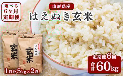 【令和7年産】《6回定期便：選べる配送時期》 はえぬき 玄米 合計60kg （10kg（5kg×2袋）× 6回） 山形県産 【 新米 】 140-C-JF017-毎月
