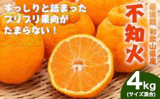 和歌山県産 不知火 約4kg(サイズ混合) 厳選館《2月中旬-4月上旬頃出荷》和歌山県 日高町 送料無料 柑橘 柑橘類 でこぽん 不知火 しらぬい デコ デコポン
