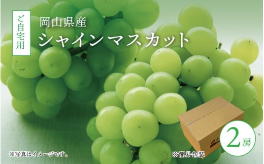 真庭市産 シャインマスカット 自宅用 2房 ぶどう 岡山 真庭 大粒 葡萄 2025年9月中旬以降発送予定 果物 フルーツ ブドウ 人気 数量限定 ご家庭用 皮ごと シャイン マスカット 産地直送 お買い得 甘い 新鮮 数量限定 岡山名産 フルーツ王国 定番 【shinemuscat06】