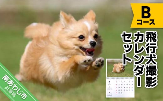 Bコース　飛行犬撮影カレンダーセット 228208 - 兵庫県南あわじ市