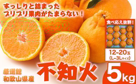 和歌山県産 不知火 約5kg L～3Lサイズ(12玉～20玉おまかせ) 日高町厳選館《2月中旬-4月上旬頃出荷》和歌山県 日高町 送料無料 柑橘 柑橘類 でこぽん 不知火 しらぬい デコ デコポン