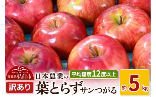 りんご 【先行受付】平均糖度12度以上！ 葉とらずサンつがる 約5kg 訳あり 2148954 - 青森県弘前市