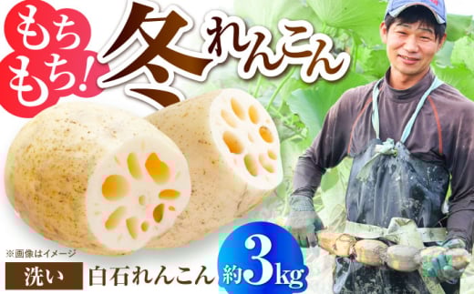 【土壌からとことんこだわり】白石町産 洗いれんこん約3kg【野中農園】 [IDC006]
