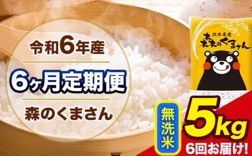 令和6年産 森のくまさん 【6ヶ月定期便】 無洗米 《お申し込み月の翌月から出荷開始》 5kg (5kg×1袋) 計6回お届け 熊本県産 単一原料米 森くま 熊本県 玉東町 2151059 - 熊本県玉東町