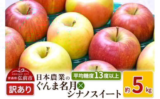 りんご 【先行受付】 平均糖度13度以上！ ぐんま名月×シナノスイート 約5kg 訳あり