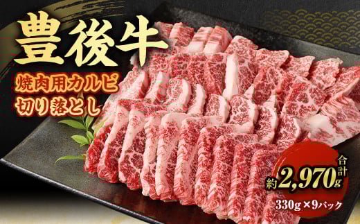 【大分県産】 豊後牛 焼肉用 カルビ 切り落とし 約2.97kg （約330g×9パック） 牛肉 中落ち