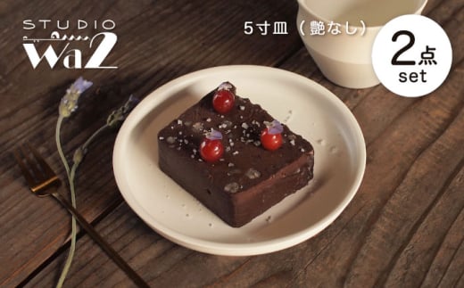 【波佐見焼】KINU 5寸皿 2点セット（艶なし）【studio wani】 [MB78] 2148829 - 長崎県波佐見町