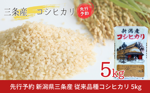 先行予約 新潟県三条産コシヒカリ 従来品種 5kg×1袋 令和7年産コシヒカリ 精米 新潟県産コシヒカリ 【016S084】