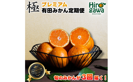 極プレミアム 有田 みかん 定期便 【1kg×3回】 / 温州みかん 有田みかん 甘い 厳選 高級 和歌山 有田 1kg ※北海道・沖縄・離島への配送不可 2150157 - 和歌山県広川町