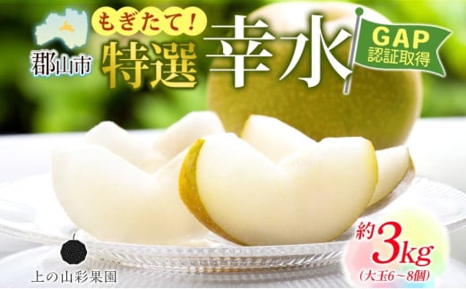 特選 幸水 約3kg 大玉 6～8個 なし 梨 ナシ もぎたて 甘い 旬 果物 GAP 認証 産地直送 贈り物 贈答用 送料無料 上の山 彩果園 福島県 郡山市 2036216 - 福島県郡山市
