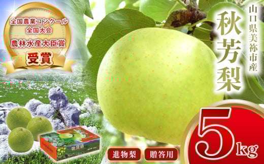美祢市産 秋芳梨 ( 進物梨 ) 5kg 先行予約 〈2025年8月下旬より順次発送予定〉｜ 二十世紀 なし 梨 フルーツ 特産品 美祢市 山口県 美祢 秋芳町 秋芳 秋芳梨 進物 進物梨 贈答 果物 くだもの 果実 カルスト台地 先行予約 期間限定 5kg 375392 - 山口県美祢市