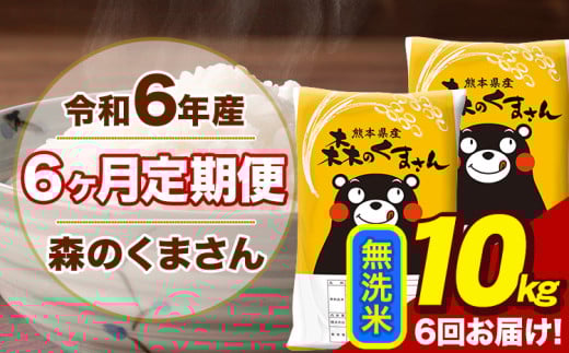 令和6年産 森のくまさん 無洗米 10kg 5kg×2袋 計6回お届け 《お申し込み月の翌月から出荷開始》 お米 こめ 熊本県産 ご飯 備蓄