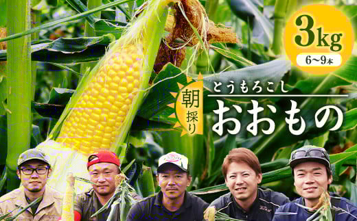 朝採り 農家直送 とうもろこし 5kg「おおもの」（6 - 9本） 山形産 【2025年8月上旬頃から9月下旬頃発送予定】　010-B-HK021