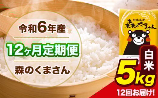 令和6年産 森のくまさん 【12ヶ月定期便】 白米 《お申し込み月の翌月から出荷開始》 5kg (5kg×1袋) 計12回お届け 熊本県産 単一原料米 森くま 熊本県 玉東町 2151050 - 熊本県玉東町