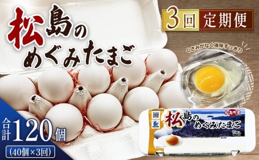 No.163 松島のめぐみたまご　40個入り　3ヵ月定期便 ／ 卵 玉子 卵黄 オレンジ 美味しい すっきり ハーブ 安心 安全 宮城県