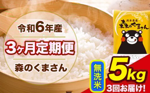 令和6年産 森のくまさん 【3ヶ月定期便】 無洗米 《お申し込み月の翌月から出荷開始》 5kg (5kg×1袋) 計3回お届け 熊本県産 単一原料米 森くま 熊本県 玉東町 2151054 - 熊本県玉東町