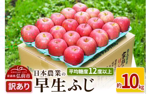 りんご 【先行受付】平均糖度12度以上！ 早生ふじ 約10kg 訳あり 685727 - 青森県弘前市