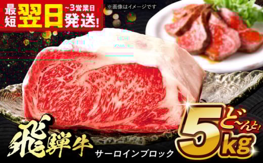 飛騨牛 極上 サーロイン ブロック 5kg 多治見市 / 養老ミート 冷凍 和牛 ギフト 