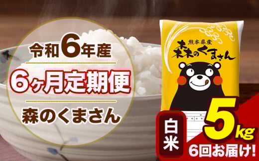 令和6年産 森のくまさん 白米 5kg 5kg×1袋 計6回お届け 《お申し込み月の翌月から出荷開始》 お米 こめ 熊本県産 ご飯 備蓄