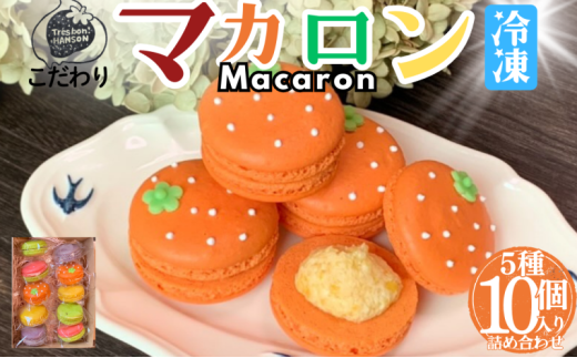 [№5533-0411]こだわり マカロン 詰め合わせ 10個入り セット 焼き菓子 スイーツセット マカロン10個入り ( 南濃みかん いちごみるく ピスタチオ 塩キャラメル フランボワーズ )