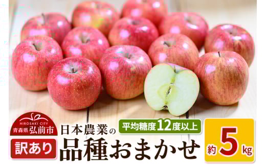 りんご 平均糖度12度以上！ 品種おまかせ 約5kg 訳あり