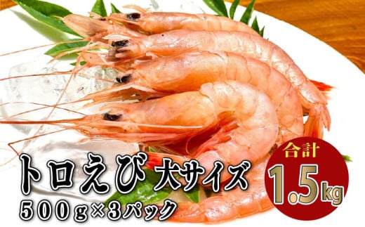 トロ えび 冷凍 海老 大 サイズ 1.5kg 500g 3パック お刺身 駿河湾 エビチリ エビ餃子