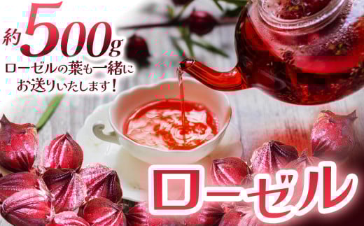 ローゼル(ローゼルの葉同梱) 500g | ローゼル 農薬不使用 化学肥料不使用 珍しい 栃木県 特産品