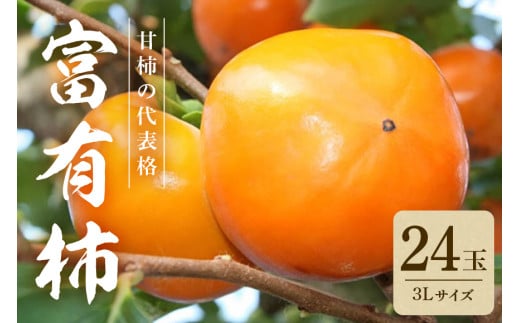 【2025年　先行予約】 富有柿 3L 二段 24玉 （ミナミ観光果樹園） 柿 甘い柿 かき 富有カキ 甘い 果物 フルーツ くだもの カキ 富有かき 秋 旬 甘柿 糖度 贈答用 贈答品 ギフト 贈り物 品種 ブランド 産地直送 農家直送 産直 茨城県 石岡市 (A09-006)
