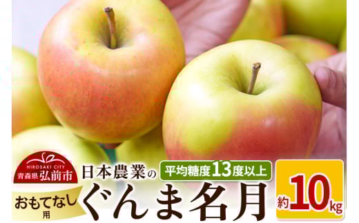 りんご 【先行受付】平均糖度13度以上！ ぐんま名月 約10kg おもてなし用 2148971 - 青森県弘前市