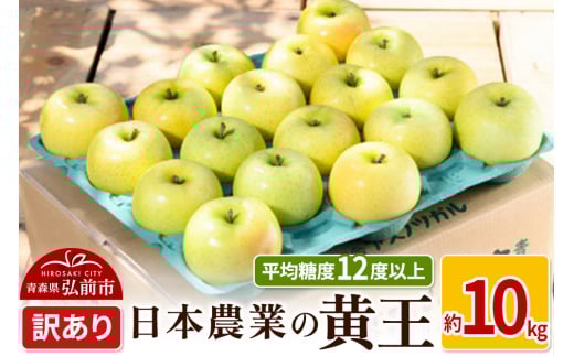 りんご 【先行受付】平均糖度12度以上！ 黄王 約10kg 訳あり クール便 685574 - 青森県弘前市
