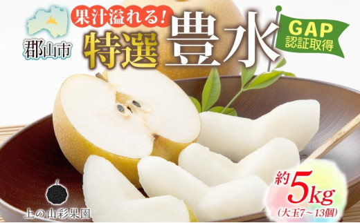 特選 豊水 約5kg 大玉 7～13個 なし 梨 ナシ もぎたて 甘い 旬 果物 GAP 認証 産地直送 贈り物 贈答用 送料無料 上の山 彩果園 福島県 郡山市 2036217 - 福島県郡山市