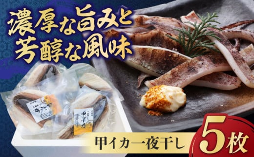 [2025年5月より順次発送] 甲イカ一夜干し 5枚 吉富町/吉富漁業協同組合 [BGAW001] いか イカ 甲いか 干物 ひもの 魚介 加工品 おつまみ おかず レンチン 簡単調理 冷凍