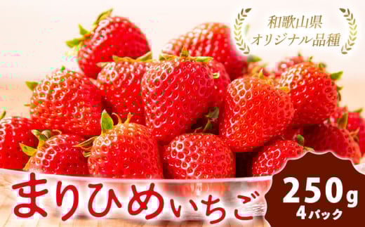 紀州和歌山県ブランドいちご「まりひめ」約250g×4パック 計1kg 株式会社魚鶴商店《2026年3月上旬-3月下旬頃出荷》和歌山県 日高町 いちご 苺 まりひめ フルーツ 果物 スイーツ 送料無料