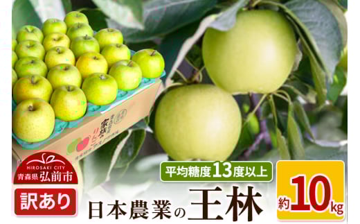 りんご 【先行受付】平均糖度13度以上！ 王林 約10kg 訳あり 1510088 - 青森県弘前市