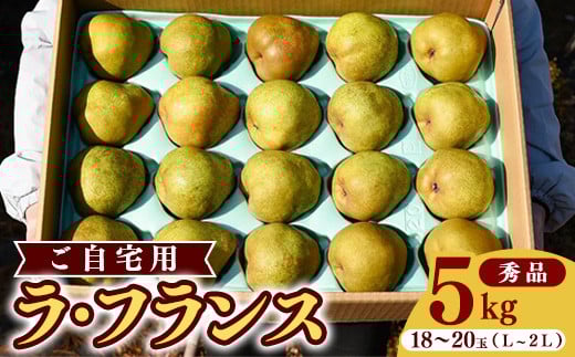 こだわり ラ・フランス 5kg（18玉～20玉） 秀品 L～2L 《ご自宅用》 農家直送 山形県産【2025年11月頃～12月上旬頃発送予定】　012-B-HK002