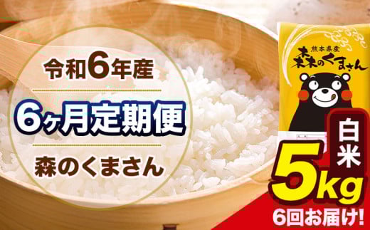 令和6年産 森のくまさん 【6ヶ月定期便】 白米 《お申し込み月の翌月から出荷開始》 5kg (5kg×1袋) 計6回お届け 熊本県産 単一原料米 森くま 熊本県 玉東町 2151046 - 熊本県玉東町