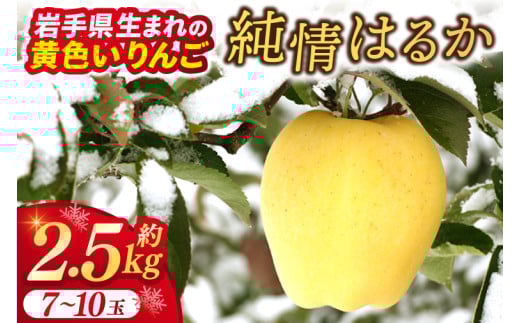 りんご はるか 「純情はるか」約2.5kg 糖度14度以上[先行予約 12月発送予定]数量限定 岩手県産 りんご リンゴ 林檎 はるか フルーツ くだもの 果物 訳あり 自家用 家庭用 [冬恋研究会]