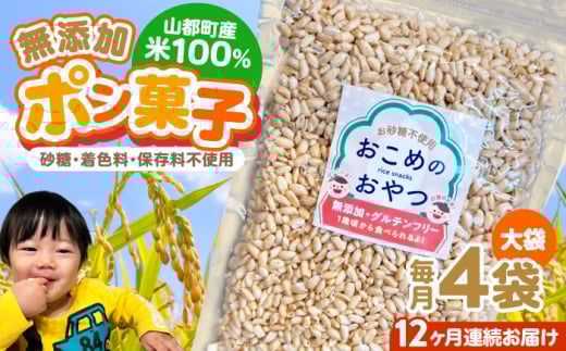 【全12回定期便】おこめのおやつ大袋 4袋セット【株式会社キゴコロ】 [YDZ013] 2148594 - 熊本県山都町