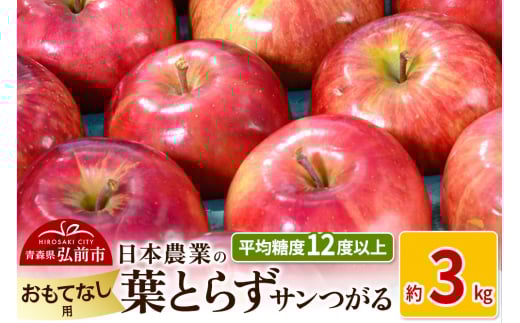りんご 【先行受付】平均糖度12度以上！ 葉とらずサンつがる 約3kg おもてなし用 2148953 - 青森県弘前市