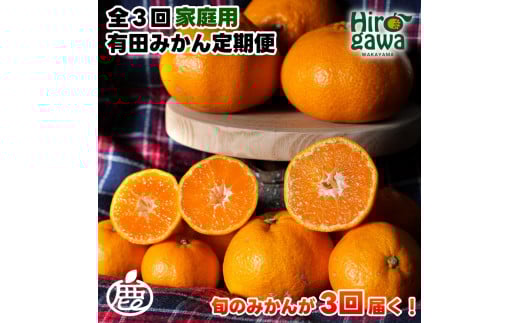 家庭用 有田 みかん 定期便 【5kg×3回】 / 温州みかん 有田みかん 甘い 訳あり 和歌山 有田 5kg ※北海道・沖縄・離島への配送不可 2150155 - 和歌山県広川町
