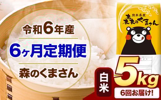 【6ヶ月定期便】令和6年産 白米  森のくまさん 5kg 5kg×1袋  《お申込み月の翌月から出荷開始》 熊本県産 白米 精米 米 こめ コメ お米 kome