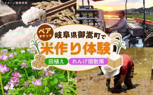 田植え体験 ＆ れんげ畑散策 ペアチケット/田植え 体験 お米 米 ペア/御嵩町/株式会社アオキ [AVBN001]