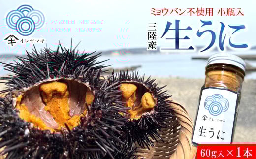 「2025年発送分」【ミョウバン不使用！】生うに 60ｇ×１本　岩手 三陸 久慈 瓶 小分け 冷蔵 60ｇ 1本 生 雲丹 ウニ 新鮮 添加物不使用 ミョウバン不使用 送料無料 配送指定日不可 ８月上旬頃までに配送予定