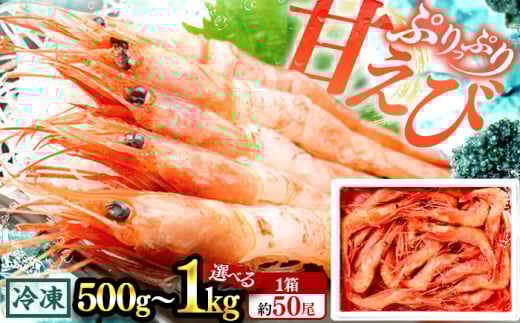 日本海 甘えび 500g (約50尾)×1箱 刺身OK 冷凍 あまえび 船凍 ホッコクアカエビ アマエビ 甘エビ 福井県 小浜市 / 小浜海産物  【配送不可地域：北海道・沖縄・離島】 [BFAA082]