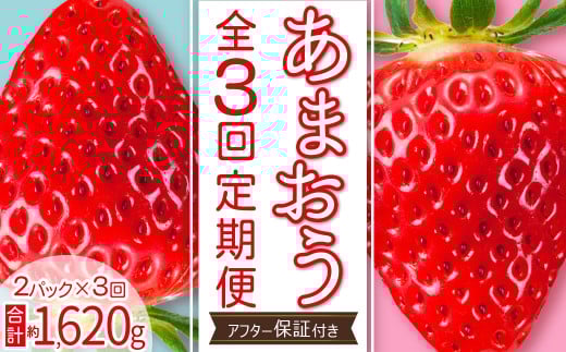 【 あまおう 定期便 全3回】福岡県産あまおう 約270g 前後 ×２パック いちご イチゴ あまおう 福岡限定 ブランド 果物 フルーツ ストロべリー スイーツ ケーキ パフェ スムージー ジャム 国産 福岡県 お取り寄せ 送料無料 3W27