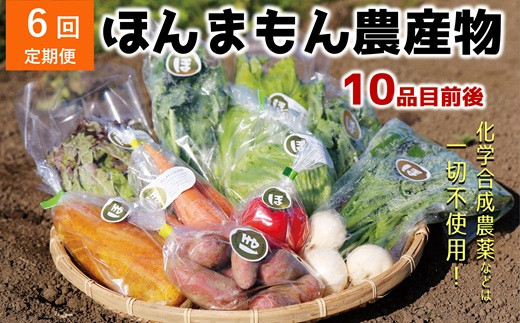 【6ヶ月定期便】化学合成農薬等不使用で栽培！安心安全な「ほんまもん野菜」を10品目前後お届け♪ 363556 - 大分県臼杵市