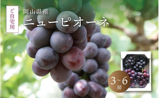真庭市産 ニューピオーネ 自宅用 3～6房 ぶどう 自宅用 訳あり 岡山 真庭 ピオーネ 2025年8月中旬以降発送予定 真庭市 大粒 葡萄 果物 フルーツ 濃厚 ピオーネ 人気 数量限定 黒ぶどう 大粒 種なし 甘い スイーツ【pione02】 