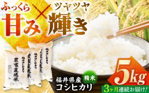 【定期便3回】 【先行予約/9月以降発送】　【令和7年産】 福井県産こしひかり 精米 5kg 小浜市 / シマダ農園 [BFAV010]